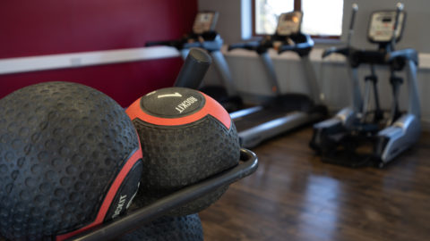 Web-Shrigley-2022-08