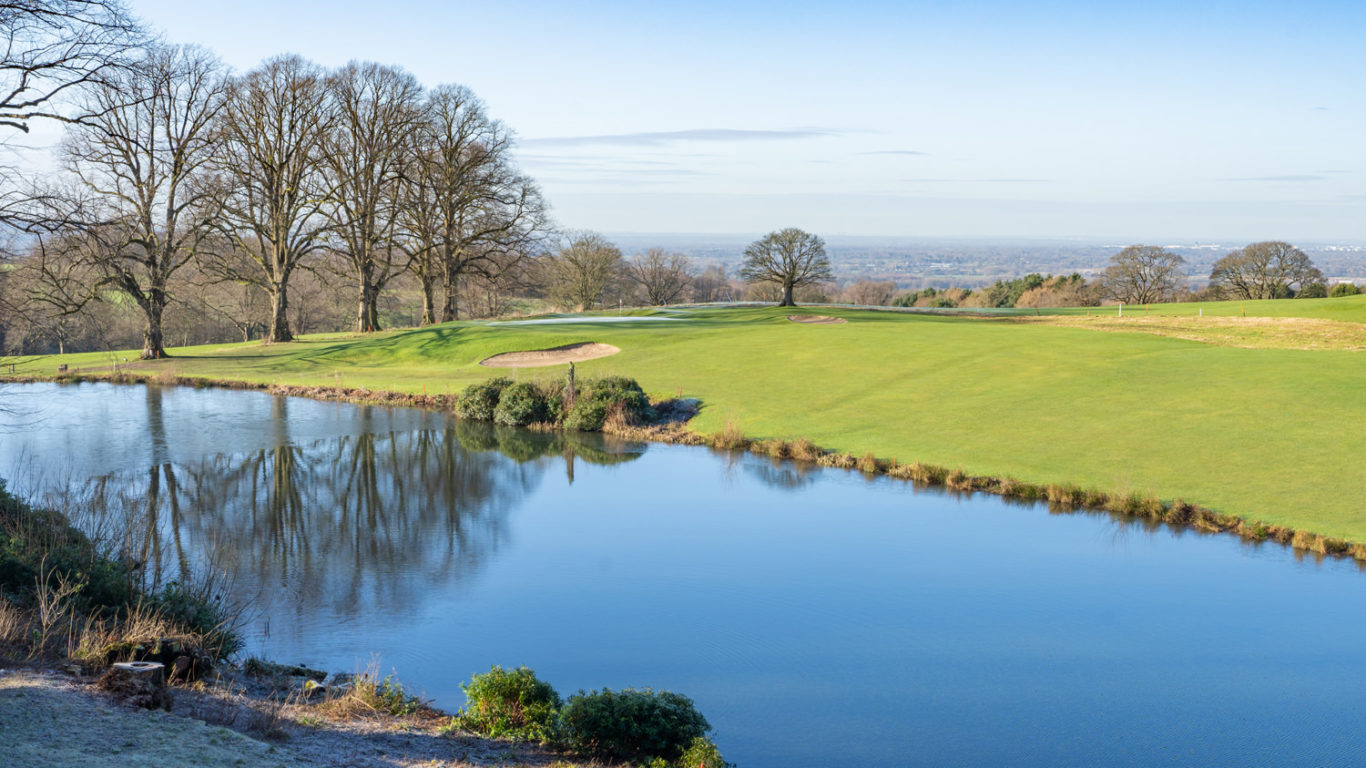 Web-Shrigley-2022-15