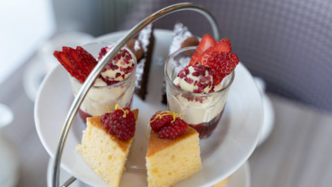 Web-Shrigley-2022-20