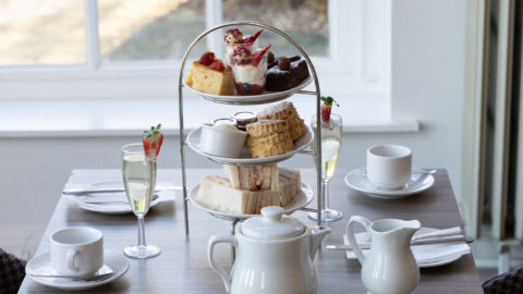 Web-Shrigley-2022-25