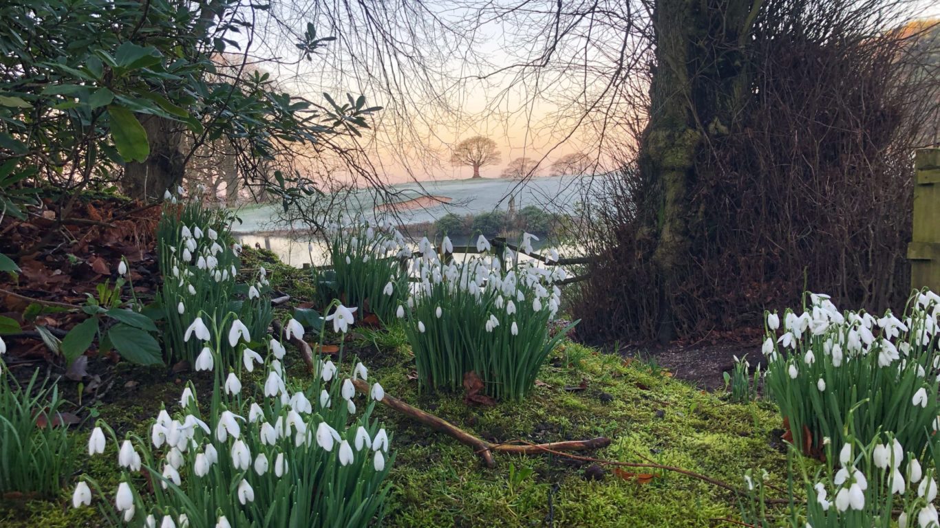 Spring Breaks in Cheshire  4* Shrigley Hall Hotel & Spa