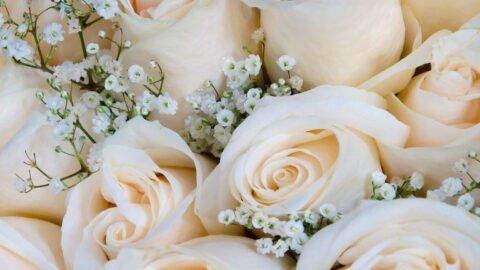 Wedding-1