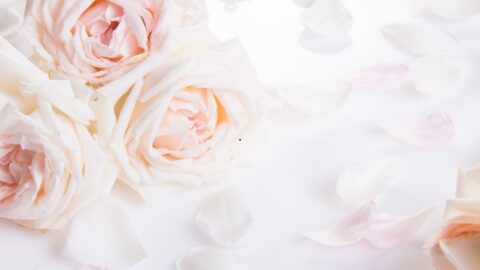 Wedding-4