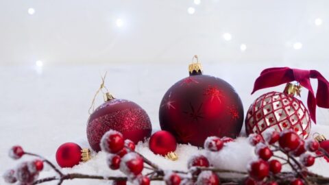 Untitled design – 1