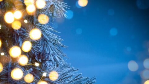 Untitled design – 1