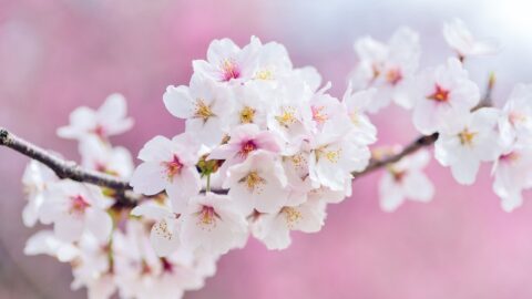 Untitled design &ndash; 1